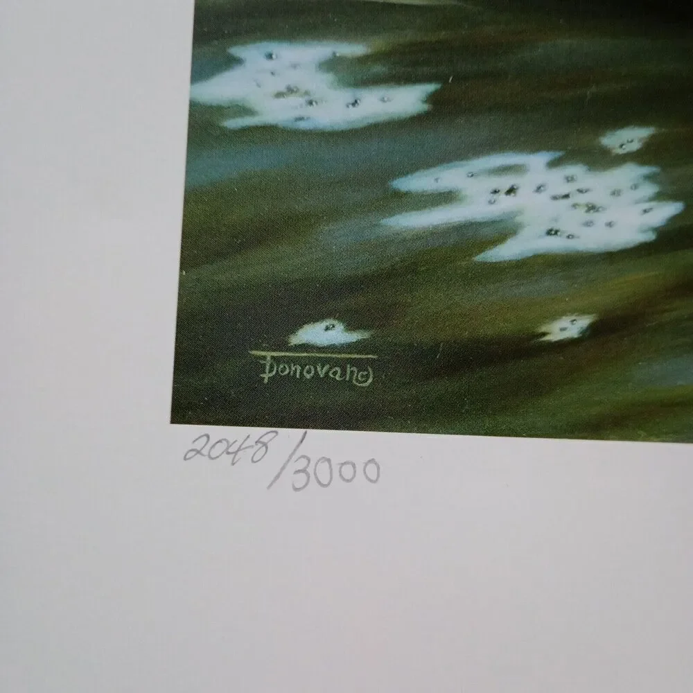 No Brand 2002 ducks
